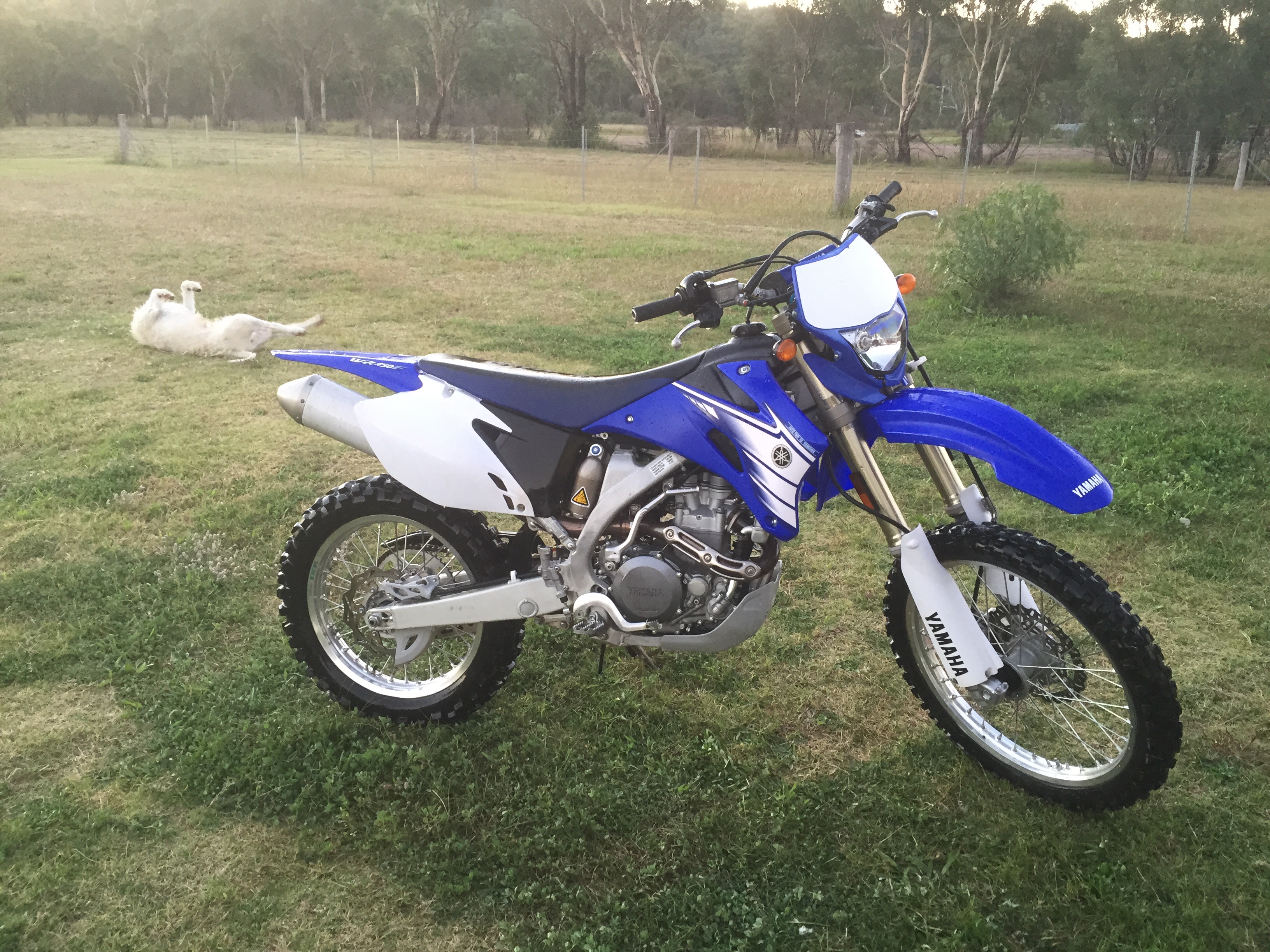 Yamaha wr450f 2010