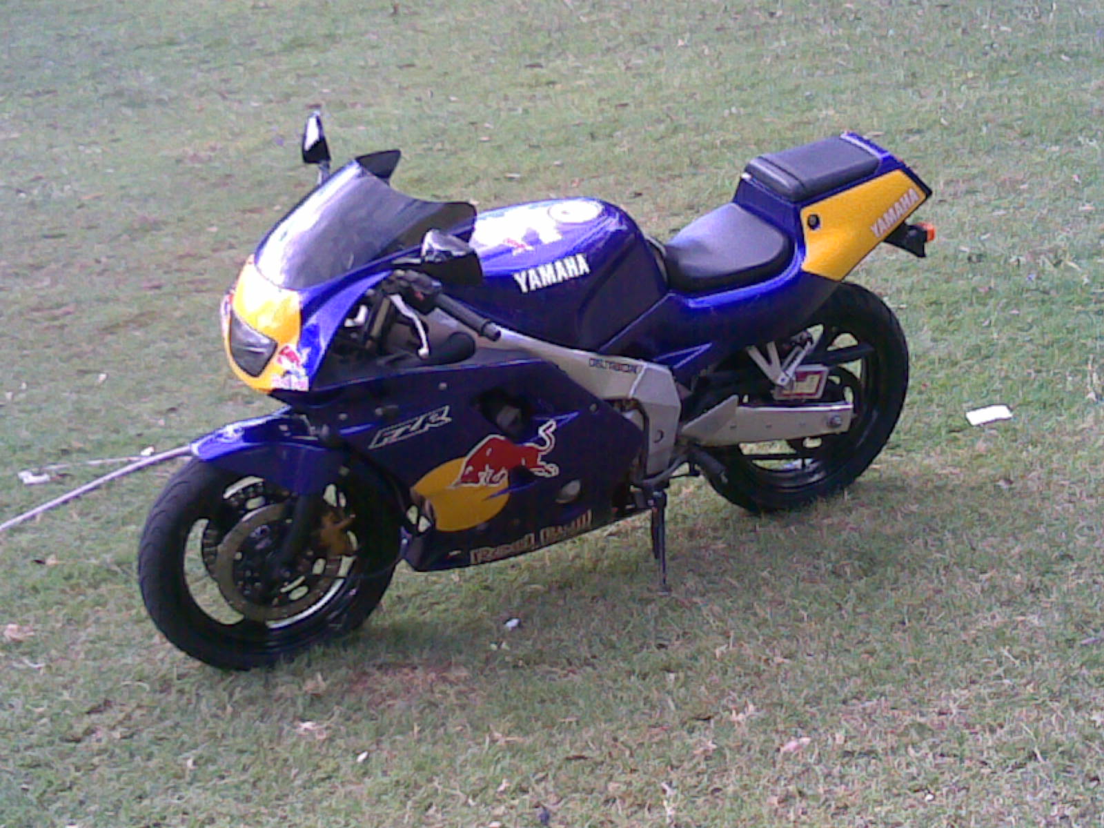 yamaha fzr 250 for sale