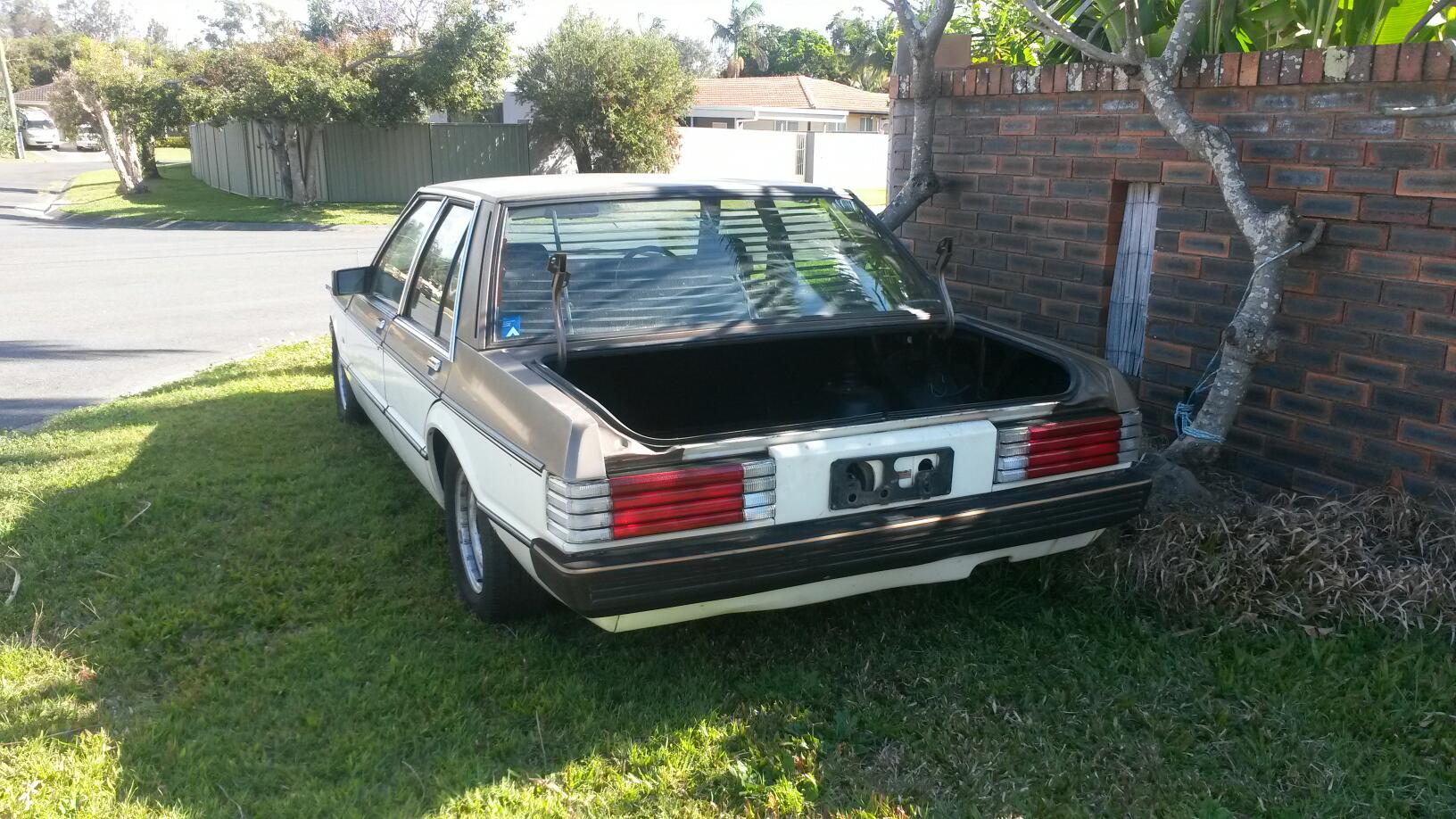 1983 Ford Falcon