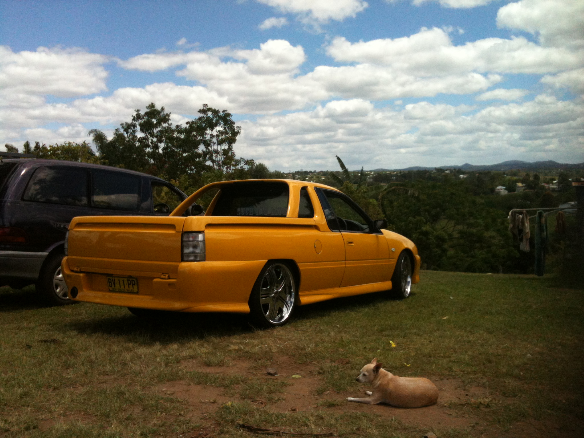 1992 Holden Commodore