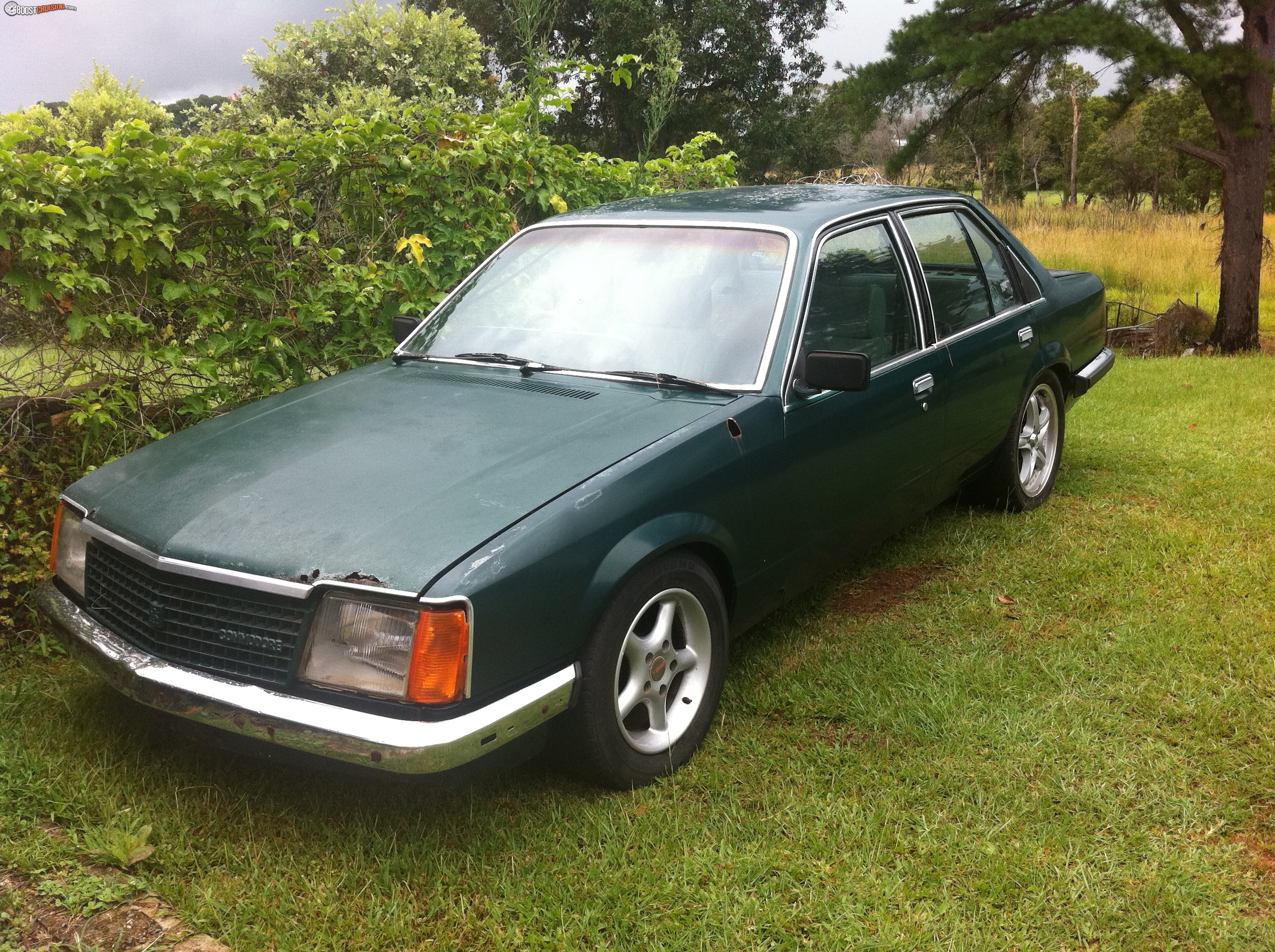 1981 Holden Commodore VC/ SLE