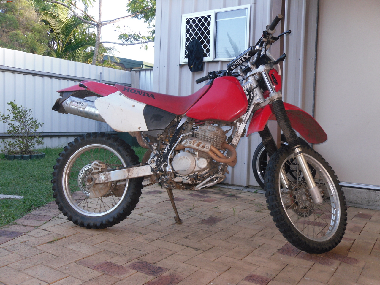 Honda xr250 фото